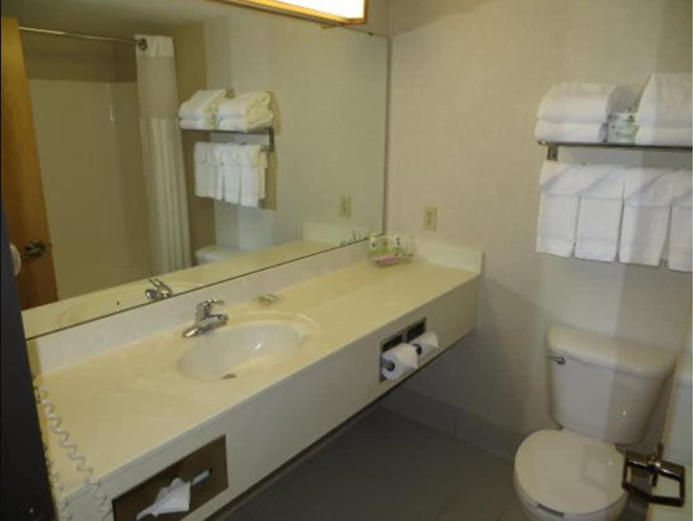 Country Inn & Suites By Radisson, Lansing, Mi Bagian luar foto